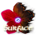 Surface: Mystery of Another World Collector's Edition icon