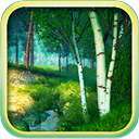 Summer Forest 3D Screensaver icon