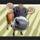 Farm Animal Sounds icon