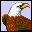 Eagles Kingdom Screensaver icon