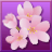 Season of Mystery: The Cherry Blossom Murders icon
