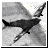 Microsoft Combat Flight Simulator icon
