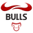 Bulls Capital MT4 Terminal icon