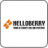 HELLOBERRY icon