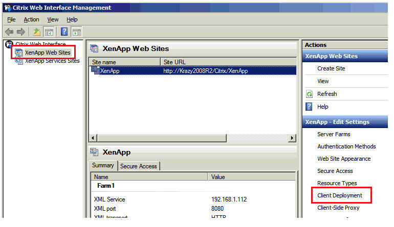 citrix xenapp web plugin windows 10