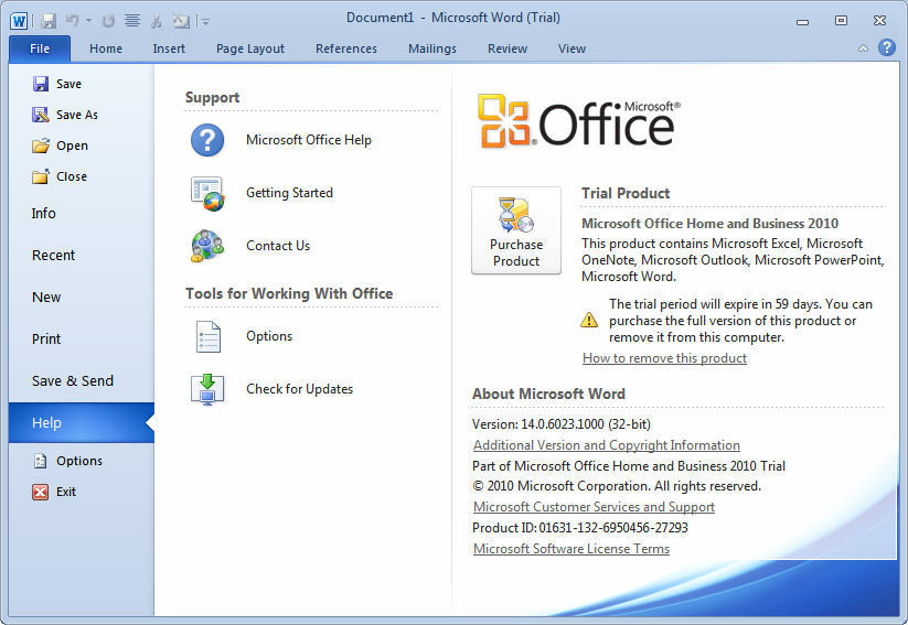 download microsoft office home and business 2010 iso
