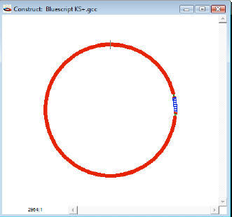 gene construction kit free download