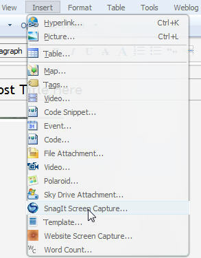 how to use snagit to capture screen