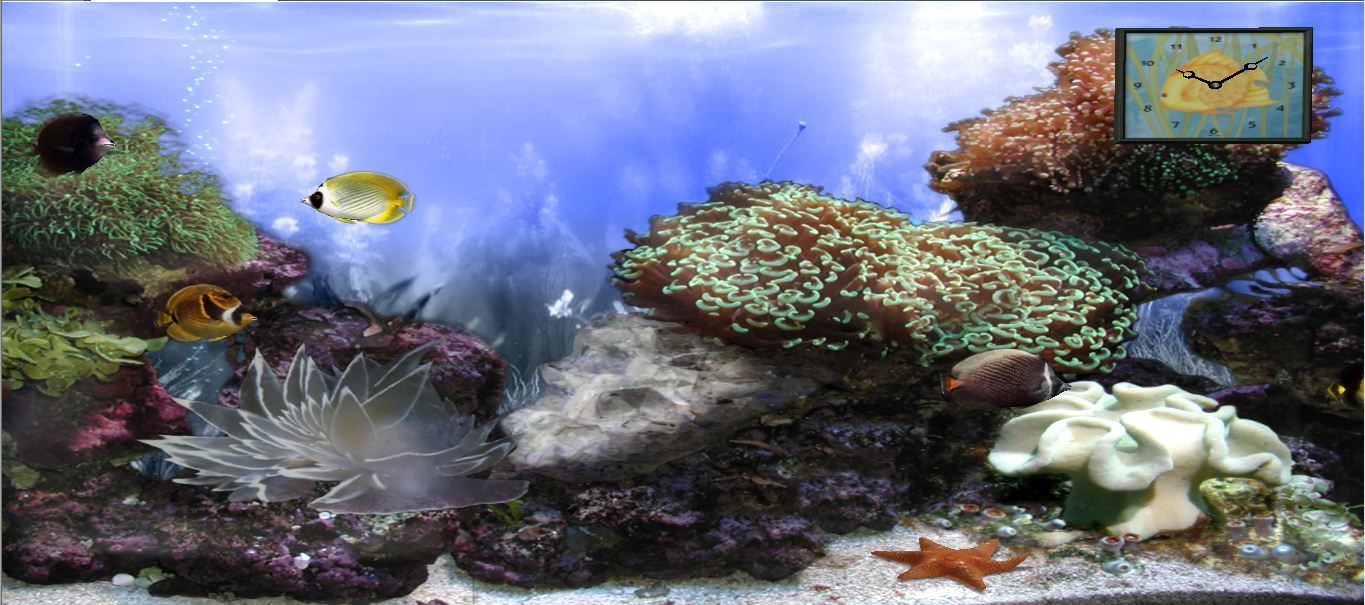 Anemone's Reef latest version - Get best Windows software