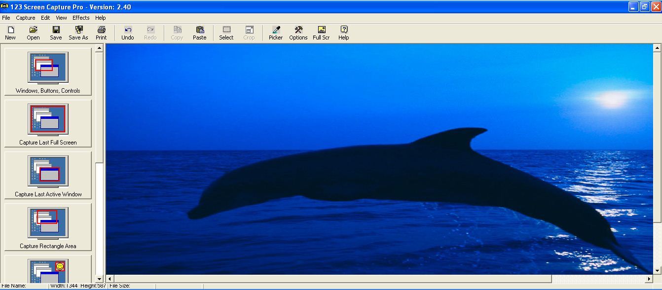 desktop screen capture pro