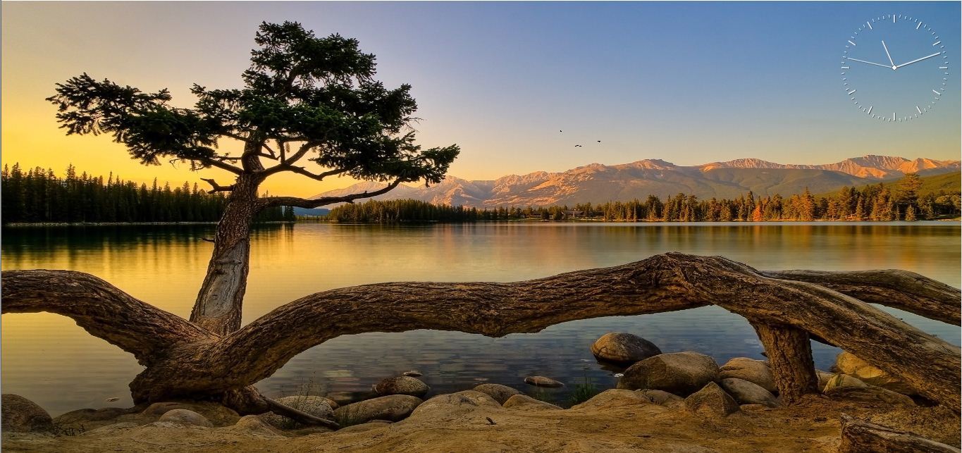 Lakeside Tree Screensaver latest version - Get best Windows software