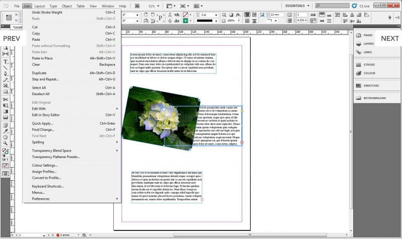 instal the last version for iphoneAdobe InDesign 2023 v18.4.0.56