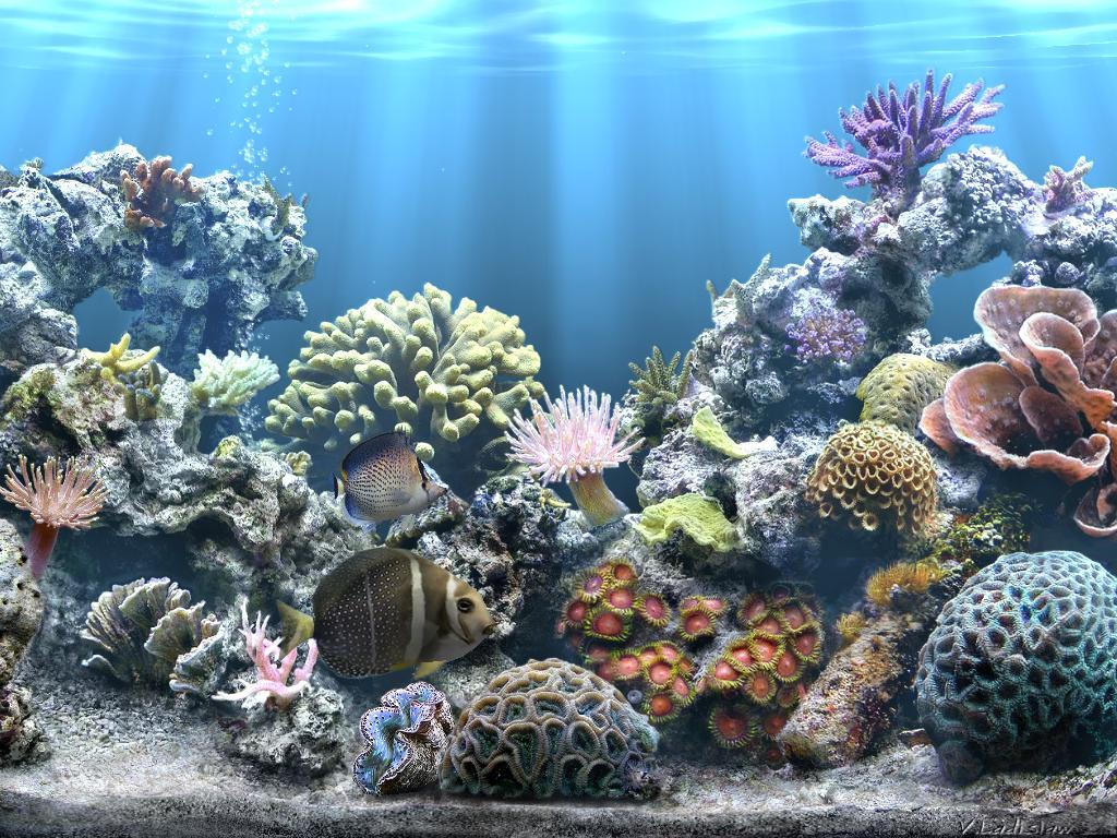 Sim Aquarium latest version - Get best Windows software