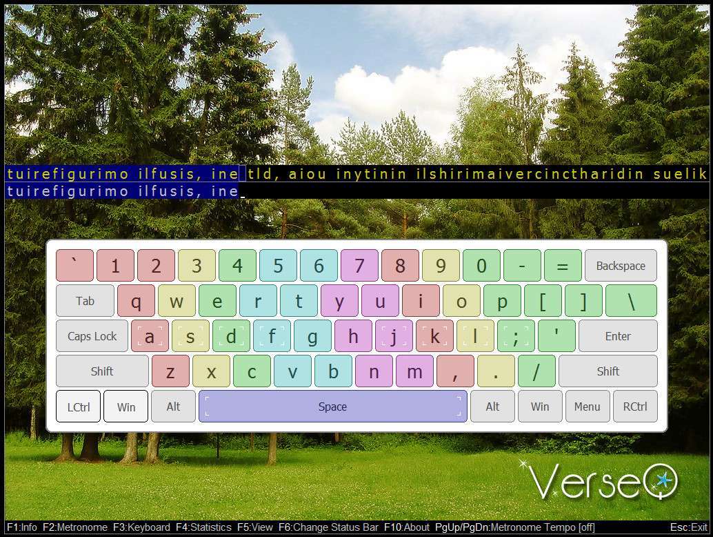 Тренировка печати на клавиатуре. Программа VERSEQ. Клавиатурный тренажер VERSEQ. VERSEQ слепая печать. Клавиатурный тренажёр VERSEQ описание.