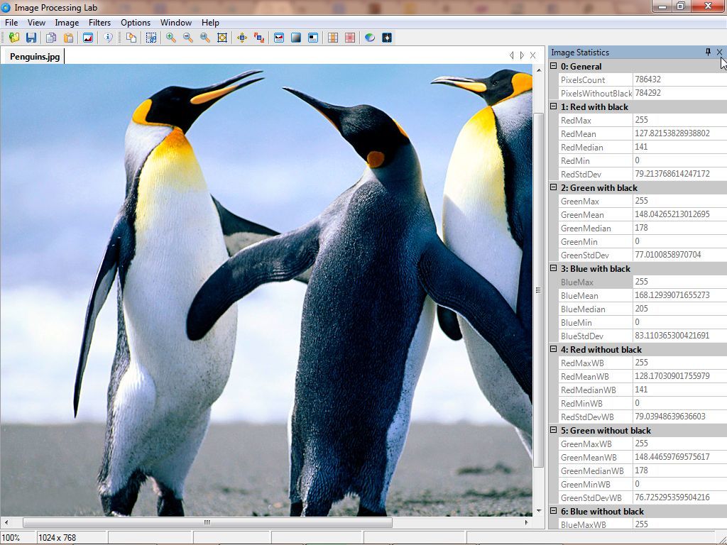 Цифровая обработка изображений. Image processing. Windows Пингвин краски. Image processing programs.