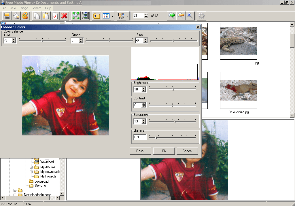 sitronix multimedia photo viewer software