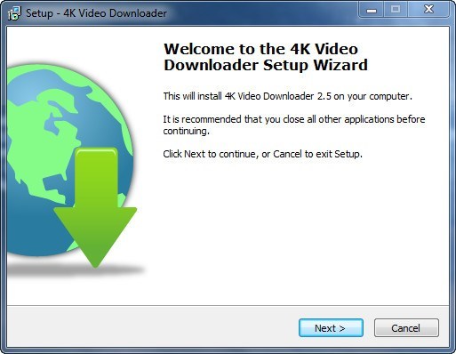 4k video downloader download sections