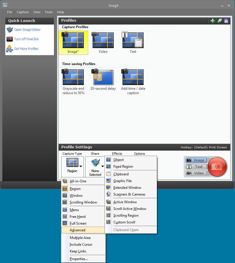 snagit for pc