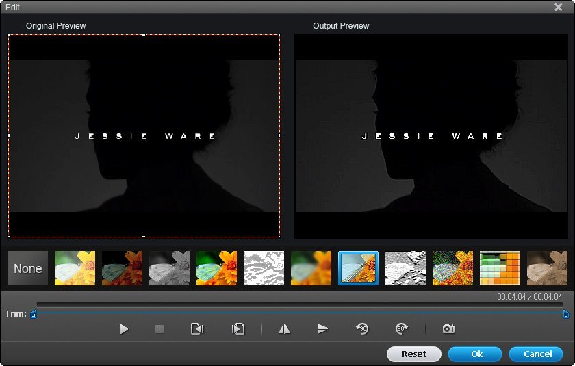 WonderFox DVD Video Converter 29.7 for mac instal free