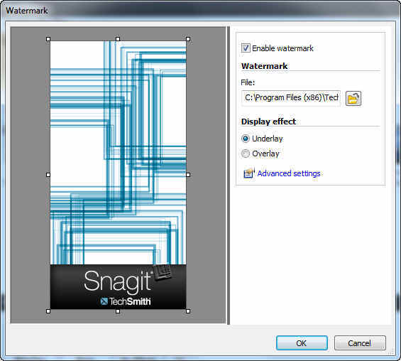 windows 7 snagit tool