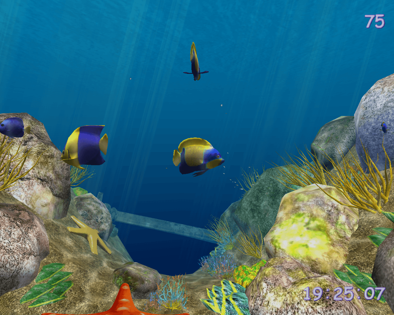 3d Ocean Fish © 7art Download For Free Getwinpcsoft
