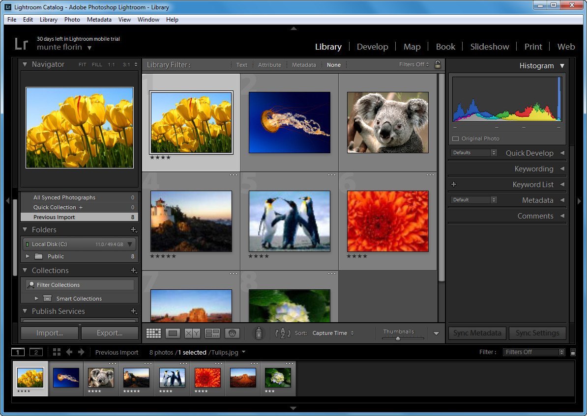 adobe photoshop lightroom software download