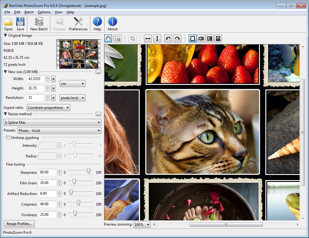 download the new version for windows Benvista PhotoZoom Pro 8.2.0