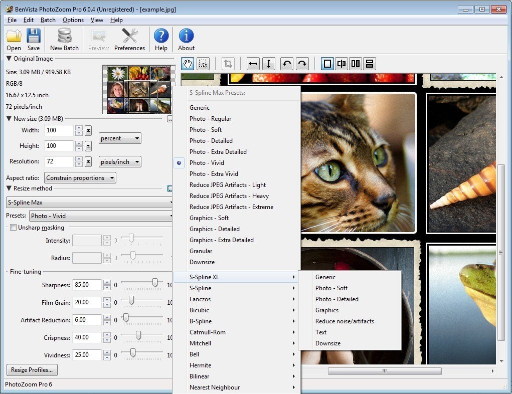 Benvista PhotoZoom Pro 8.2.0 download the new version for windows