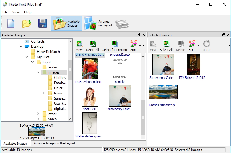 best free photo printing software