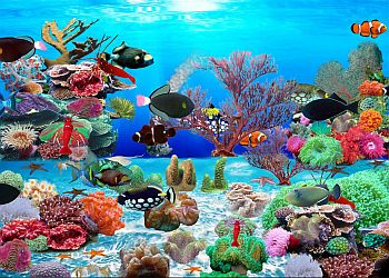 Trigger Fish Aquarium Latest Version - Get Best Windows Software