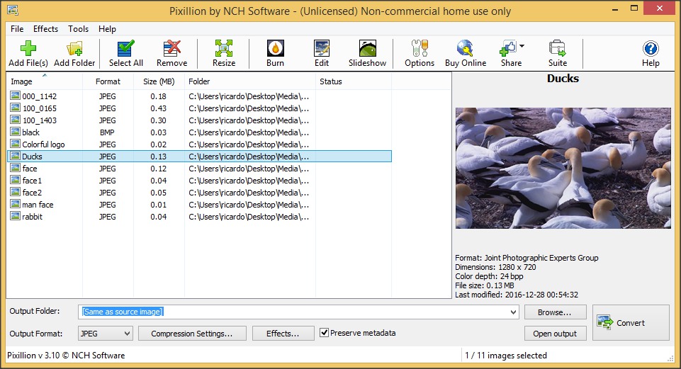 NCH Pixillion Image Converter Plus 11.45 instal the new version for ipod