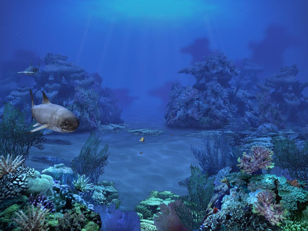 Underwater scene